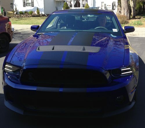H-shelby14-back
