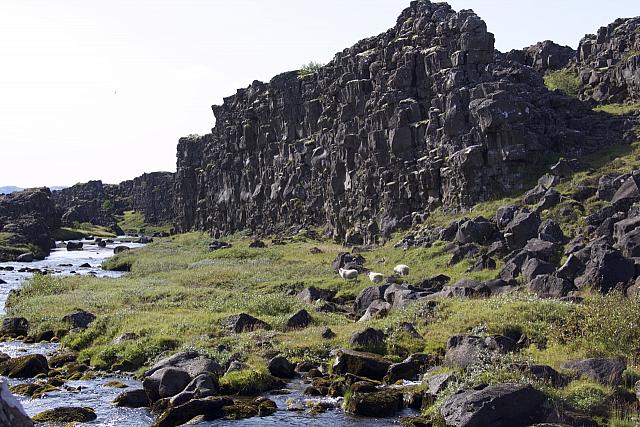 20180916072739-a2ff36ab