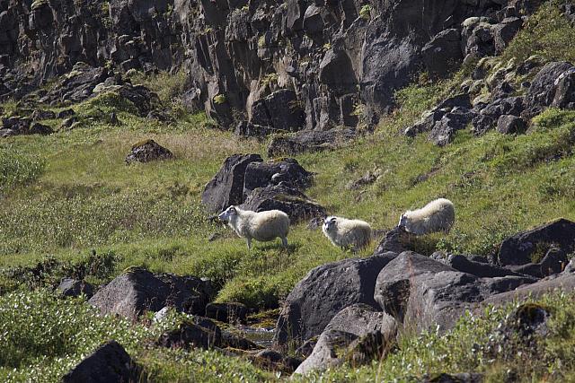 20180916072750-ae4aaef6