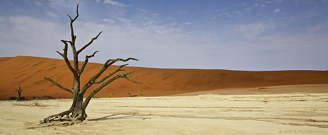 Deadvlei landscape-checks unlimited 2017