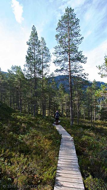 Gaularfjell 9986