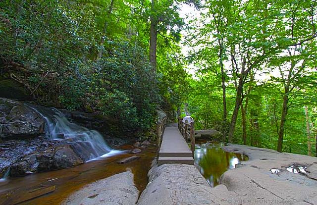 Laurel Falls HDR2