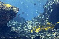 2014-09-17-LCBrac