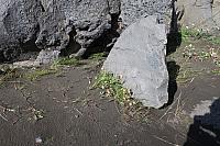 20180916072015-4642afbb