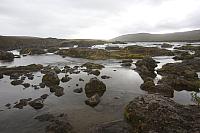7Y8A5085