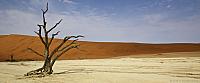 Deadvlei landscape-checks unlimited 2017