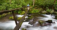 Kephart Prong bridge 3704