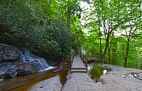 Laurel Falls HDR2