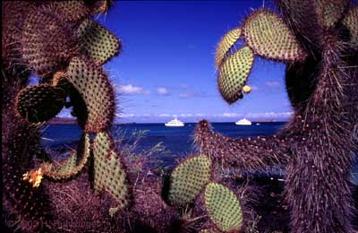 Santa Cruz, Galapagos landscape � Huntzinger